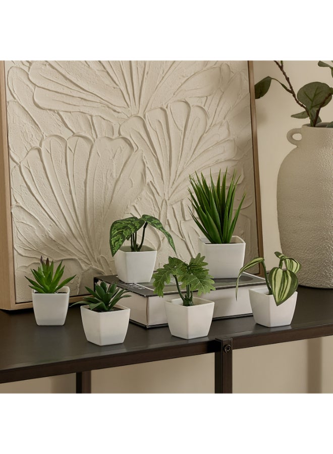 Home Box Evergreen Nordic Style Artificial Succulent Set for Home - Image 1